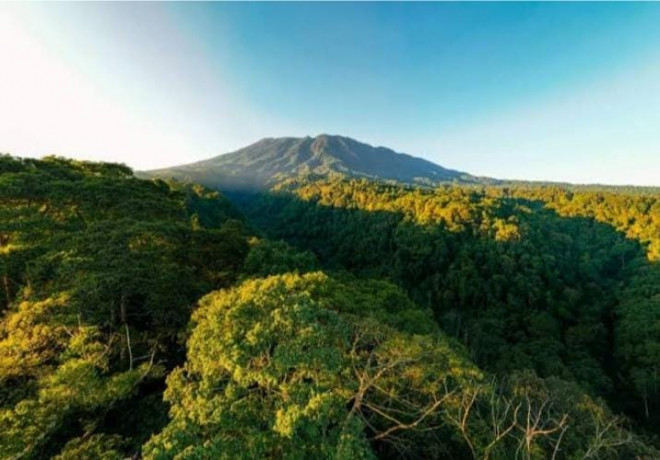 EIGER Nature mendapat apresiasi WALHI Jawa Barat dan WWF-Indonesia. Dok. Ist