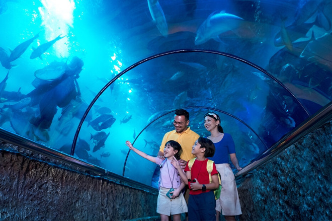 Sea World Ancol.  Foto: Ancol.com