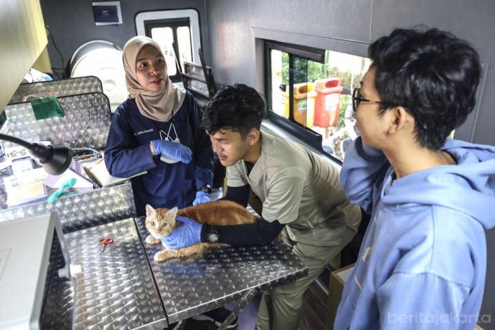 Kucing Tetap Jadi Ras Terkuat! 4.377 Anabul Sukses Check-Up Gratis Keliling Jakarta