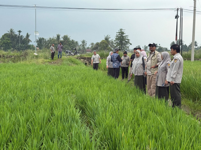 Pemulihan sawah terdampak bencana di Kabupaten Bireuen, Aceh. Foto: Istimewa
