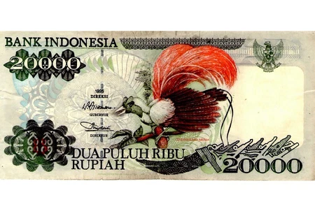 Gambar Burung Cendrawasih pada pecahan Rp20.000 tahun 1992.