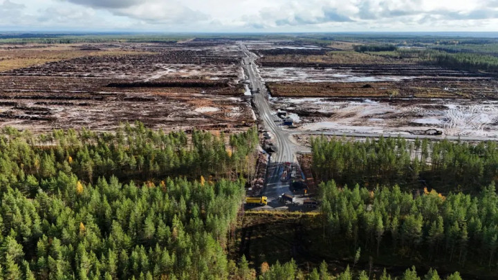 Google Tebang 400.000 Pohon untuk Pusat Data di Finlandia, Proyek Dihentikan Sementara