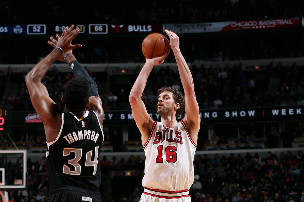 chicago bulls