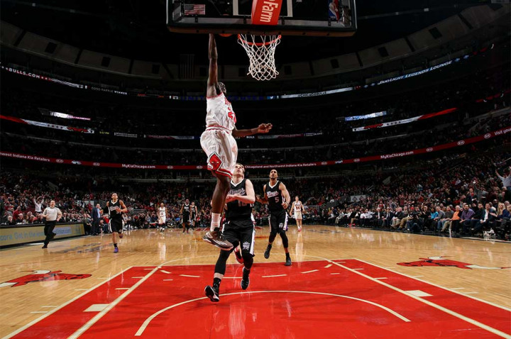 chicago bulls
