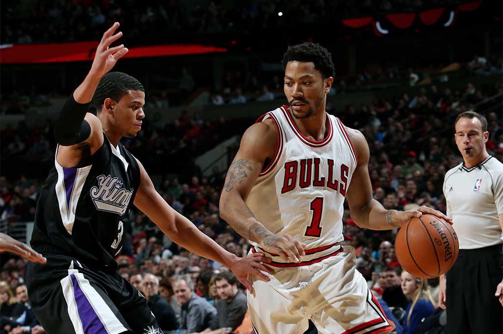 chicago bull