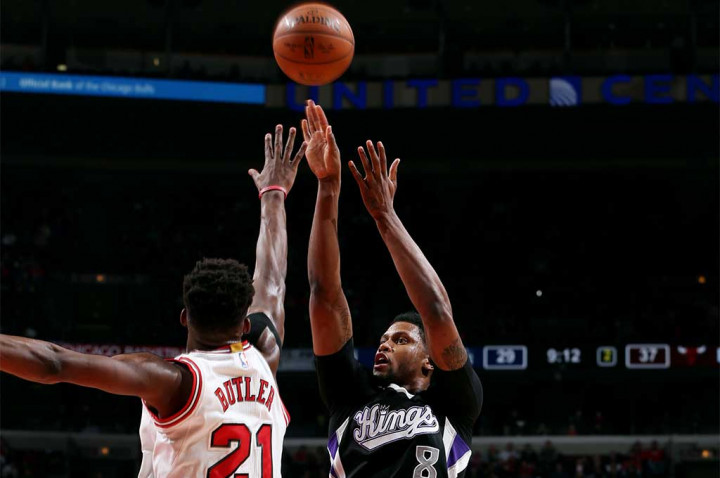 chicago bulls