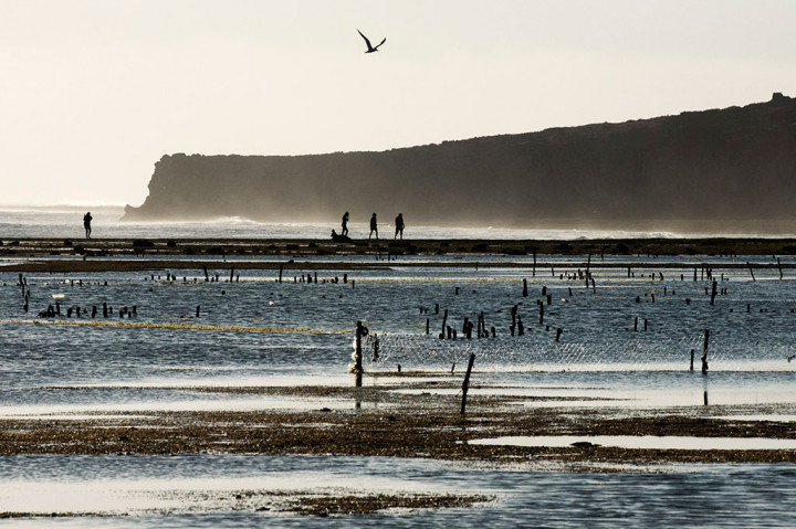 Wisatawan menikmati senja sore hari di kawasan pesisir pantai Boa di Rote Ndao, Nusa Tenggara Timur, Rabu (12/8/2015)
