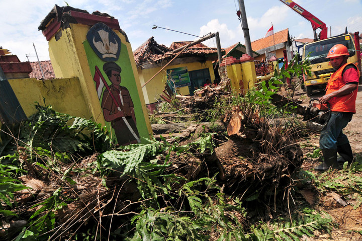Pohon Tumbang Timpa Sekolah Dasar di Tegal