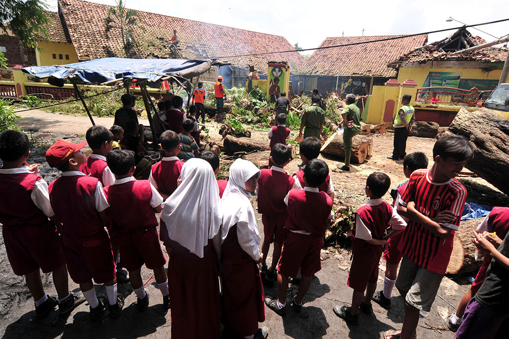 Pohon Tumbang Timpa Sekolah Dasar di Tegal