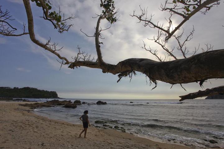 Mengintip Wisata Pantai Wediombo