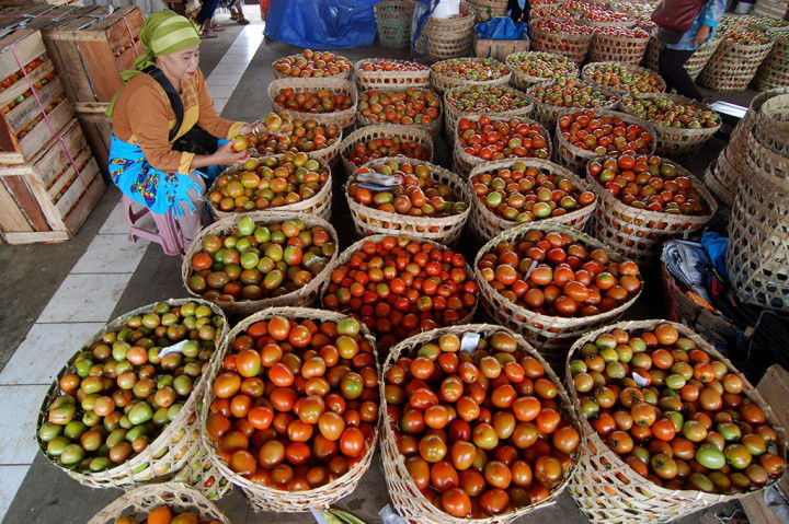 Harga Tomat di Jawa Tengah Naik 160%