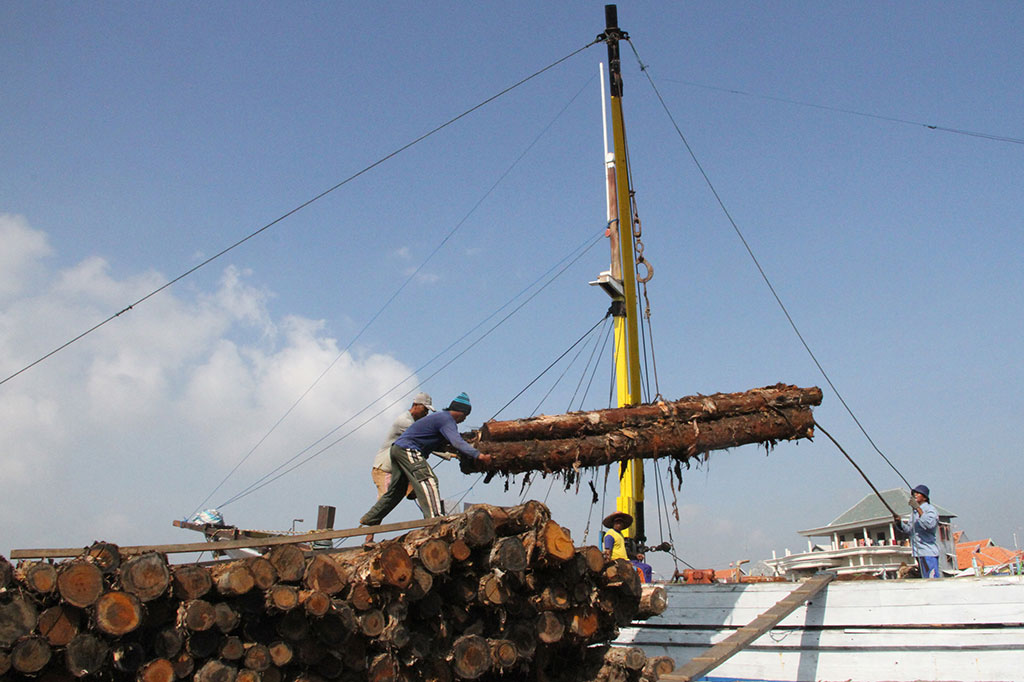 Pelaku UKM Tidak Siap, Penerapan SVLK Belum Optimal