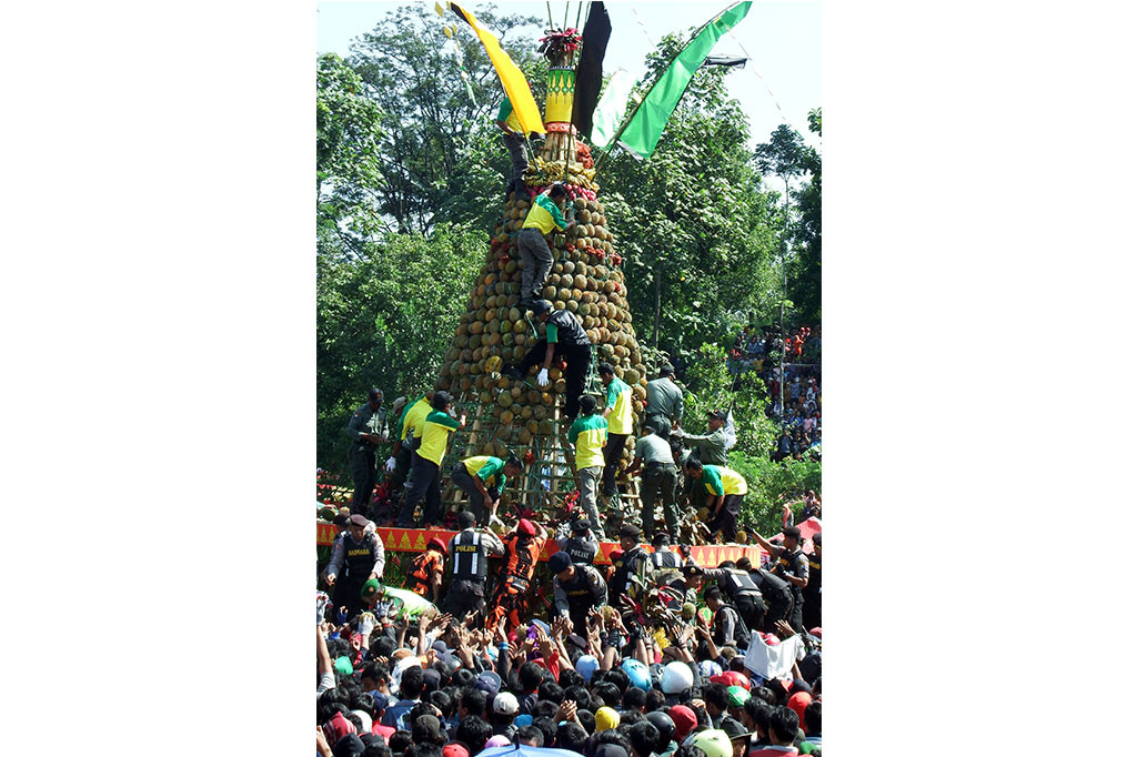 Ribuan Warga di Jombang Berebut Gunungan 2.016 Durian