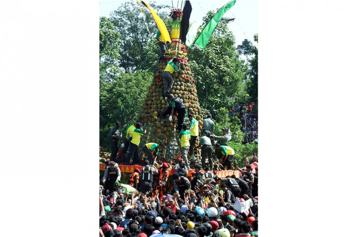 Ribuan Warga di Jombang Berebut Gunungan 2.016 Durian