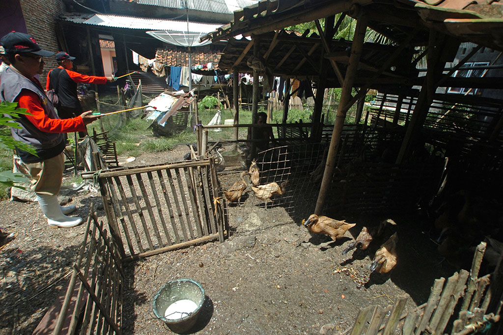 Cegah Flu Burung, Petugas Semprot Disinfektan