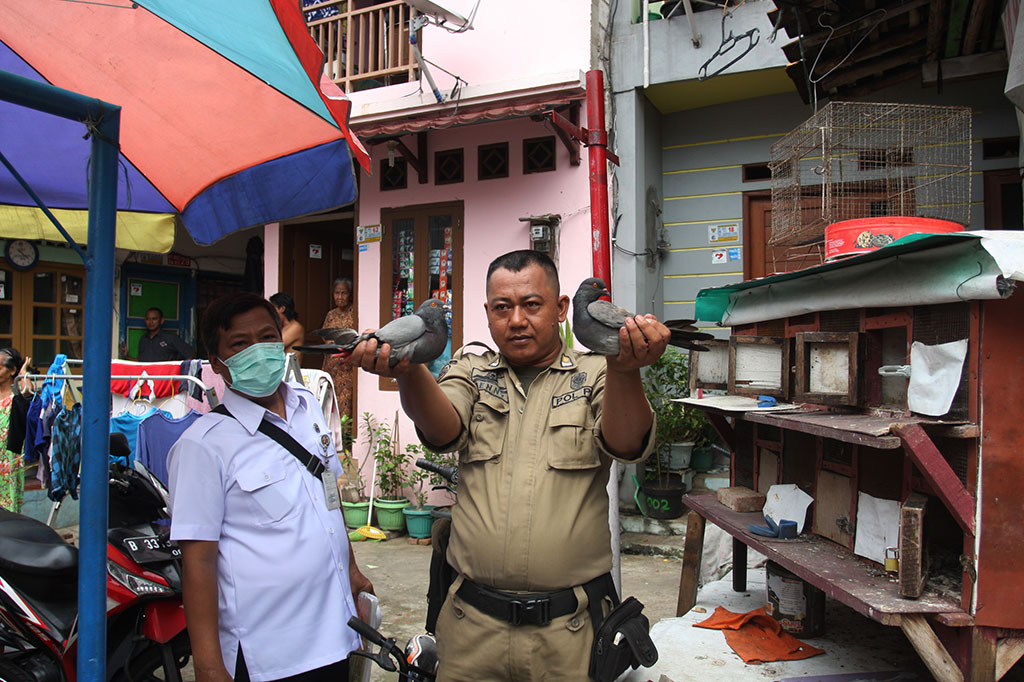 Petugas Gabungan Razia dan Musnahkan Unggas