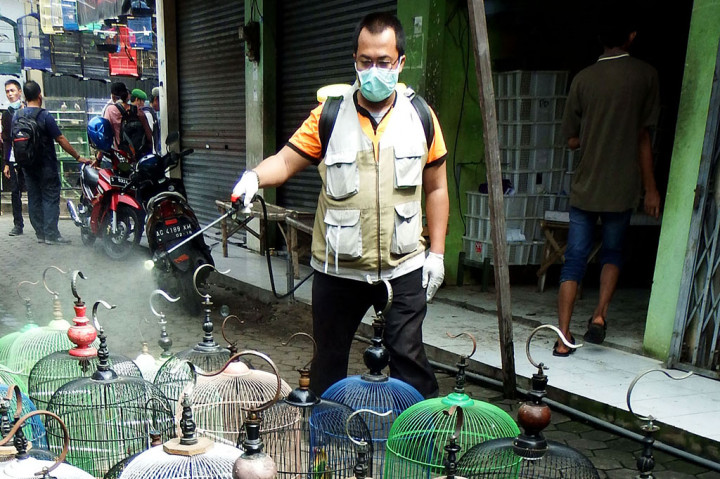 Penyemprotan Disinfektan di Pasar Burung Mojokerto Guna Cegah Flu Burung
