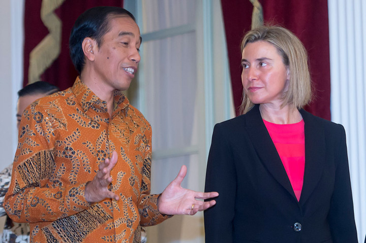 Presiden Terima Kunjungan Wapres Uni Eropa