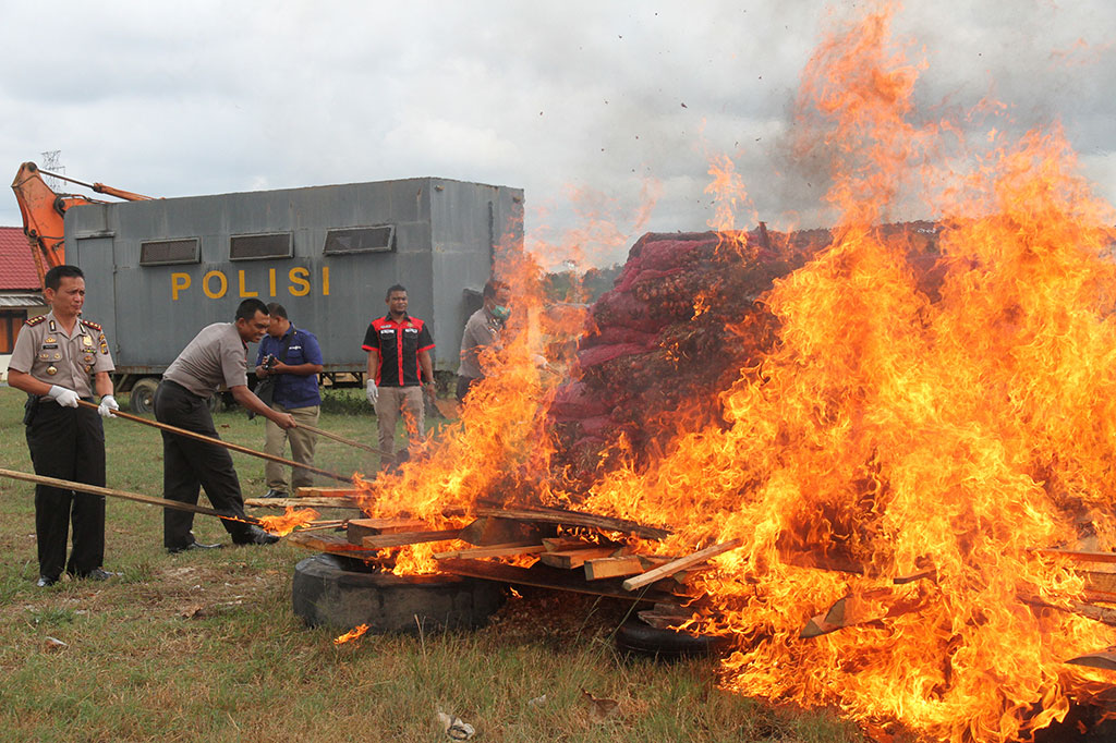Polres Aceh Timur Musnahkan Empat Ton Bawang Merah Ilegal