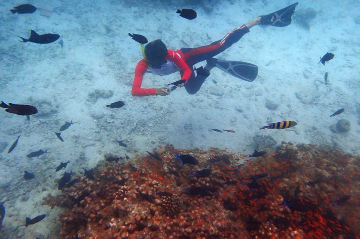 Pesona Bawah Laut Pulau Rubiah
