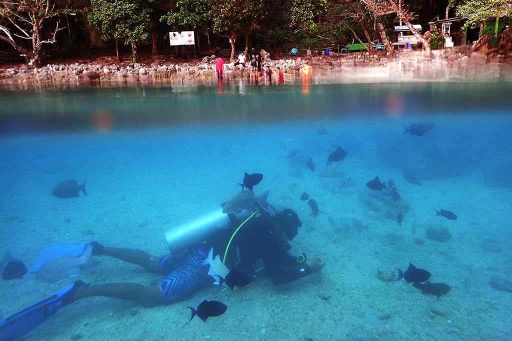 Pesona Bawah Laut Pulau Rubiah
