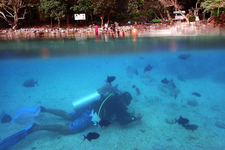 Pesona Bawah Laut Pulau Rubiah