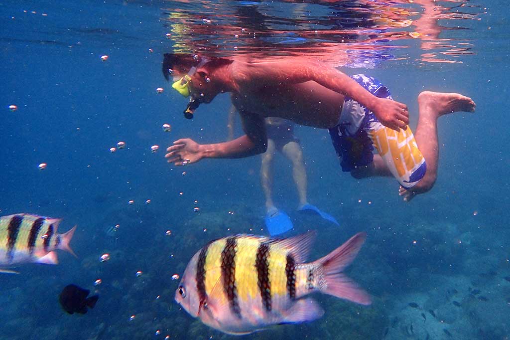 Pesona Bawah Laut Pulau Rubiah