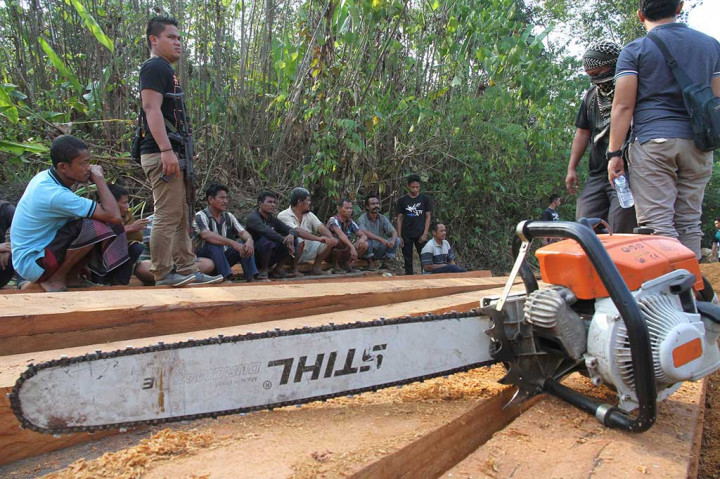 Polisi Amankan 14 Pelaku Perambah Hutan