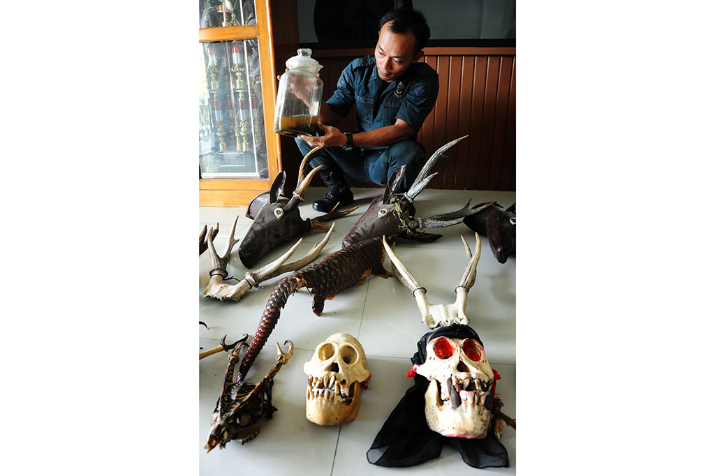 Petugas Sita Satwa Dilindungi yang Diawetkan