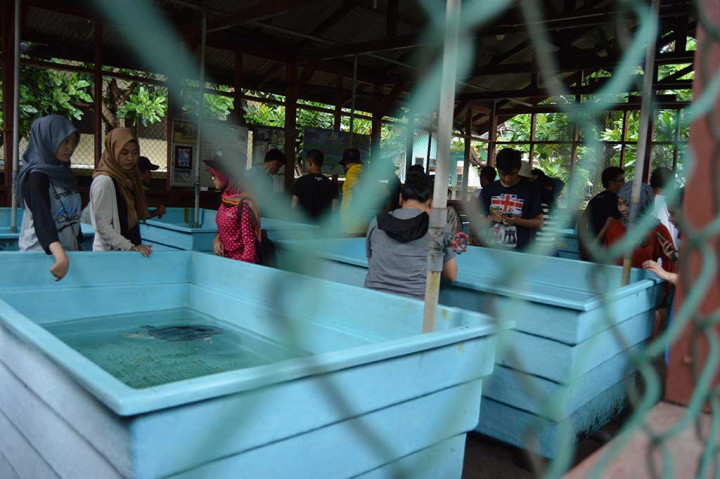 Serunya Outing Kru Metrotvnews.com di Pulau Seribu