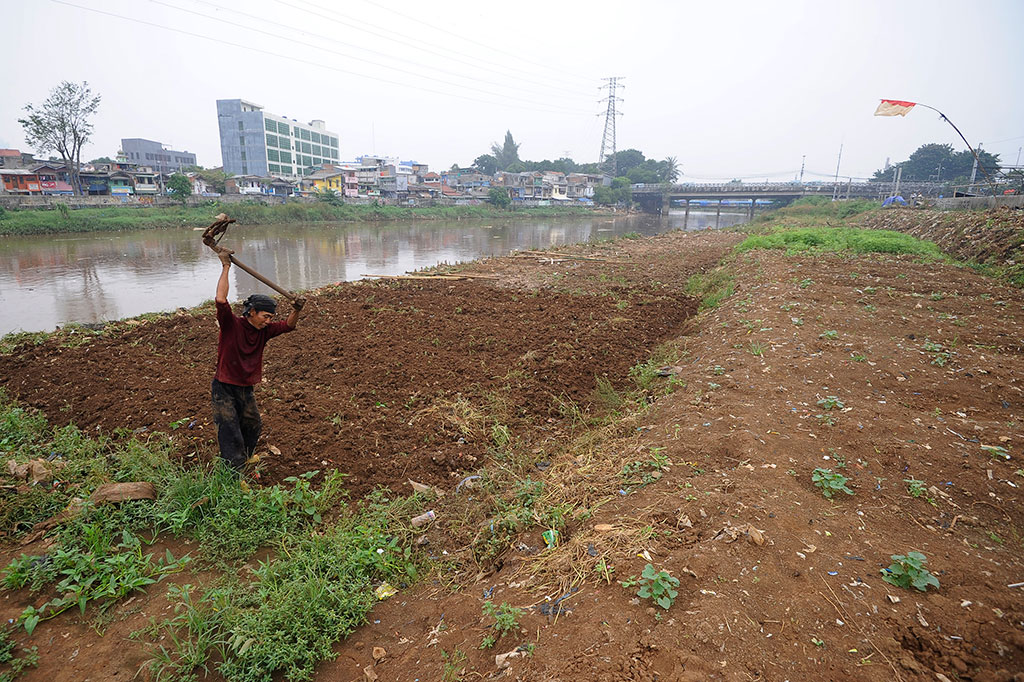 Pemanfaatan Lahan Pinggir Sungai Ciliwung untuk Bercocok Tanam