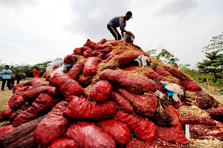 Polisi Musnahkan Enam Ton Bawang Merah Selundupan