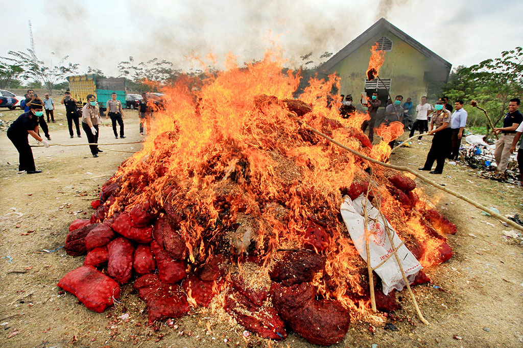 Polisi Musnahkan Enam Ton Bawang Merah Selundupan