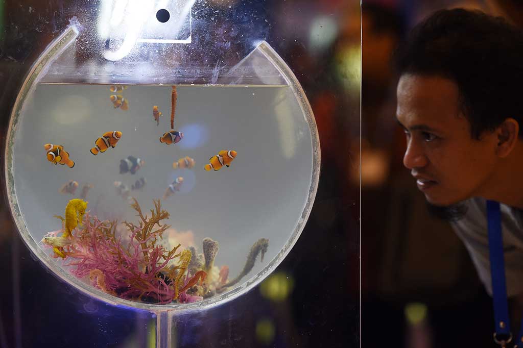 Pameran Indoaqua - APA Digelar di Surabaya