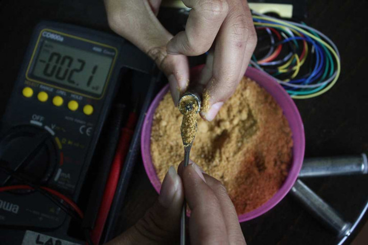 Mahasiswa Unibraw Ciptakan Baterai dari Tulang Ikan