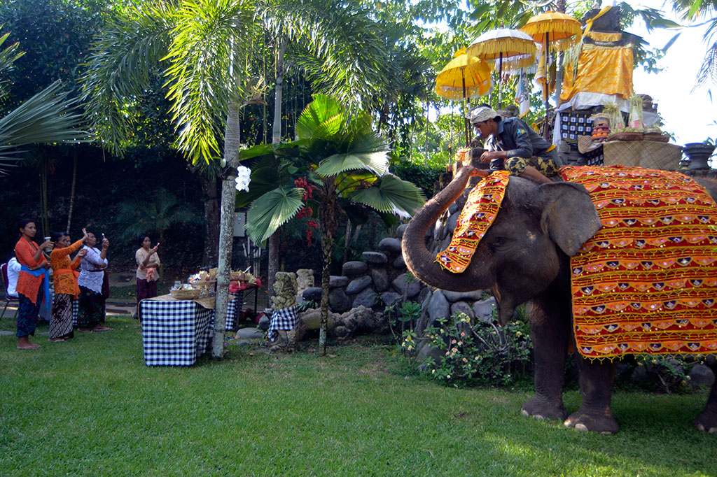 Ritual Tumpek Kandang