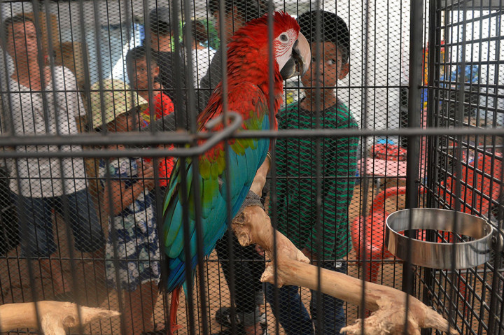 Pameran Flora dan Fauna Indonesia Digelar