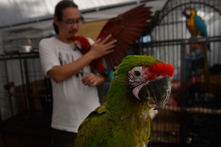 Pameran Flora dan Fauna Indonesia Digelar