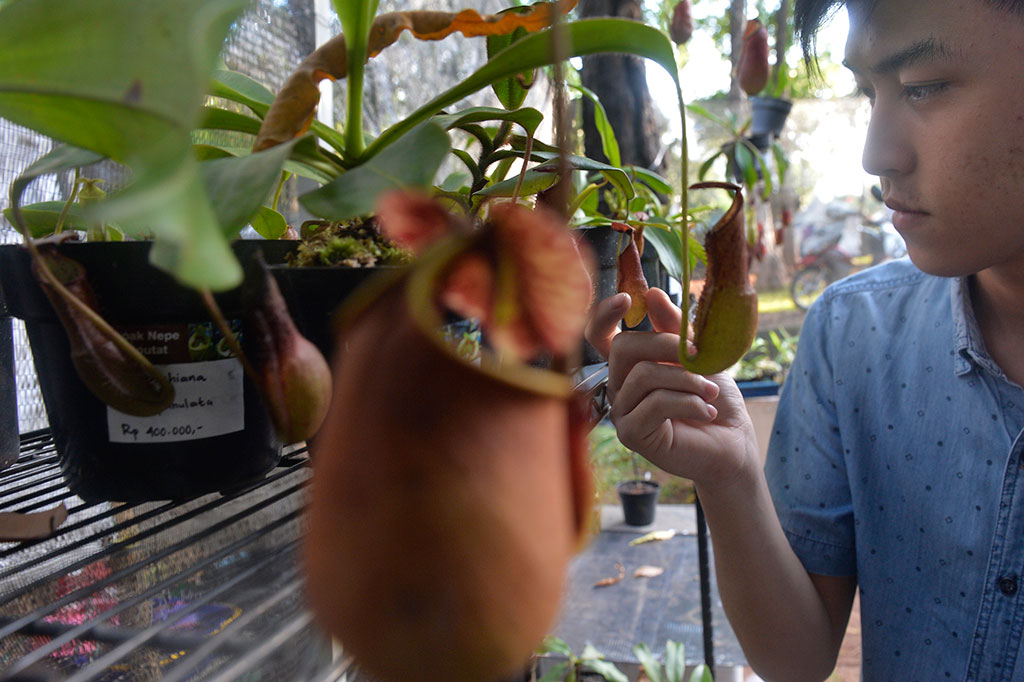 Pameran Flora dan Fauna Indonesia Digelar