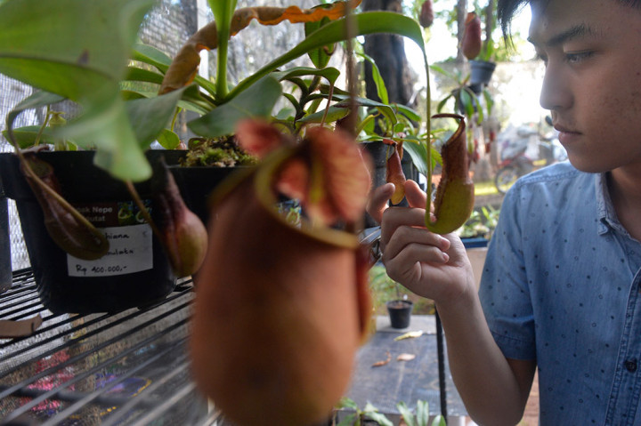 Pameran Flora dan Fauna Indonesia Digelar