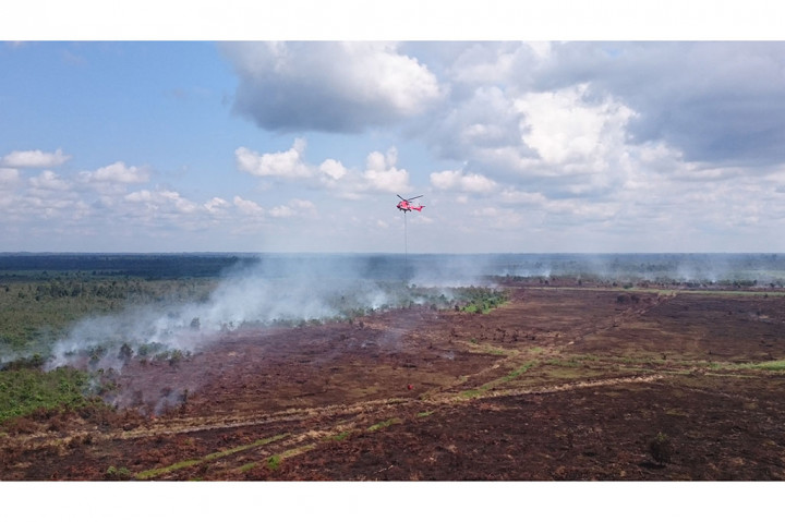 35 Hektar Lahan di Riau Terbakar