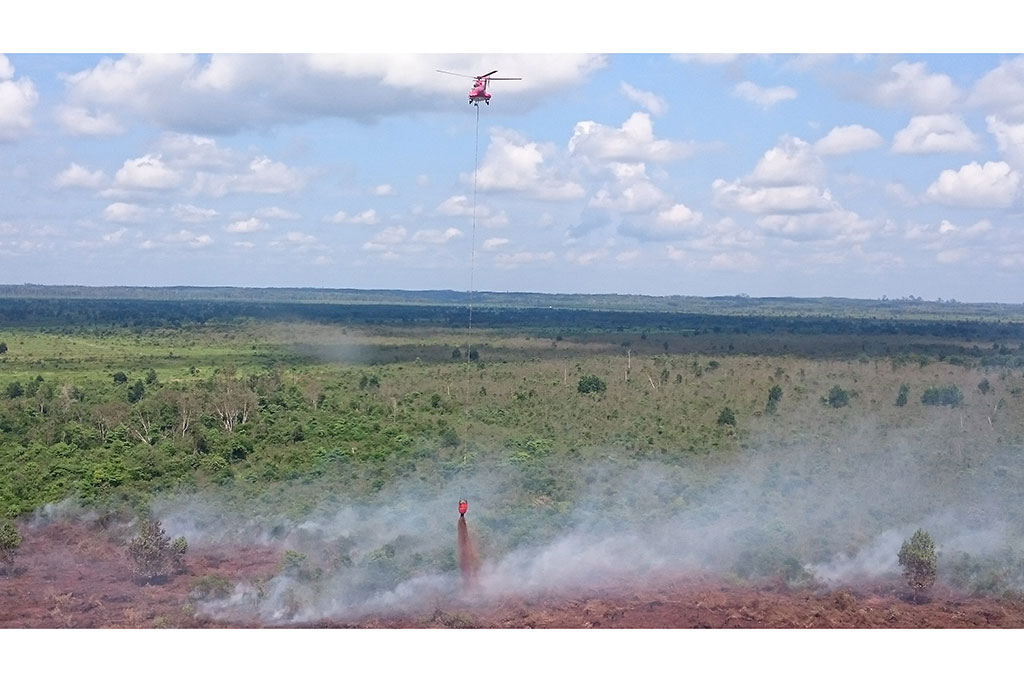 35 Hektar Lahan di Riau Terbakar