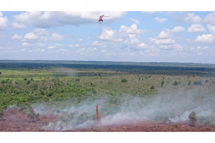35 Hektar Lahan di Riau Terbakar