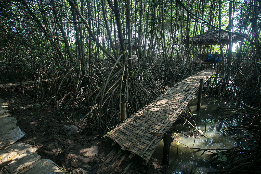 Hutan Mangrove Wanatirta, Penahan Abrasi dan Destinasi Wisata