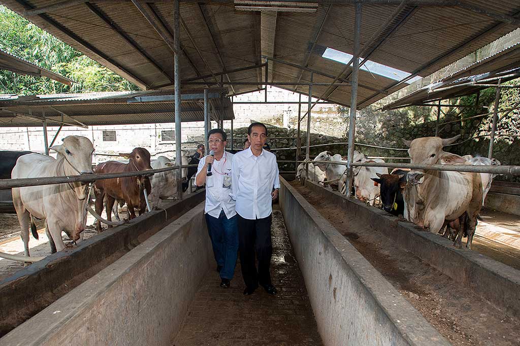 Presiden mendapat penjelasan dari pemilik PT Karya Anugerah Rumpin (KAR) Karnadi Winaga.