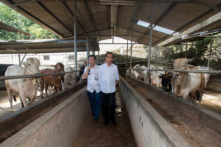 Presiden mendapat penjelasan dari pemilik PT Karya Anugerah Rumpin (KAR) Karnadi Winaga.