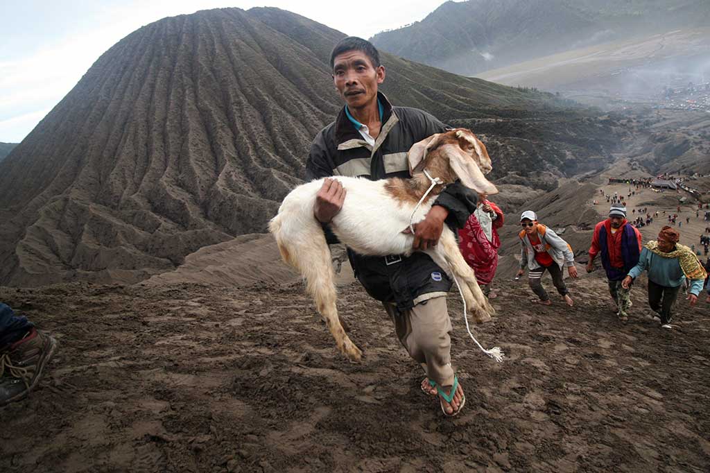 Warga suku Tengger membawa kambing sesaji menuju kawah Gunung Bromo.