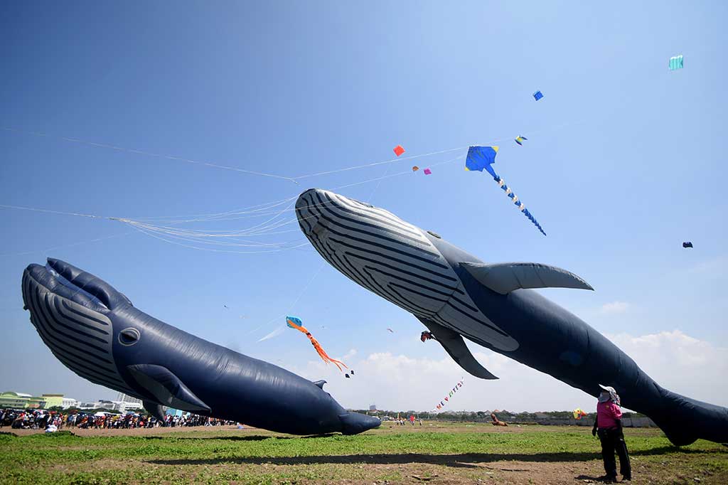Seorang peserta berada di bawah dari layang-layang paus.
