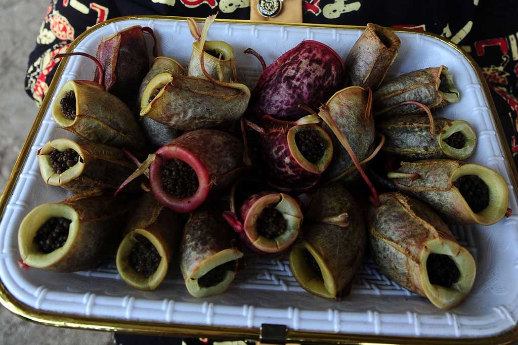 Uniknya Kuliner Berkemasan Kantung Semar Ini