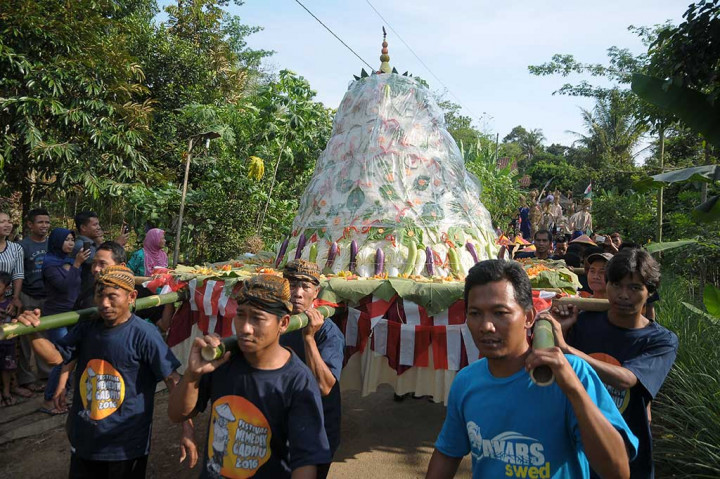 Warga mengarak tumpeng raksasa yang berisi hasil panen saat mengikuti 'Festival Memeden Gadhu'.